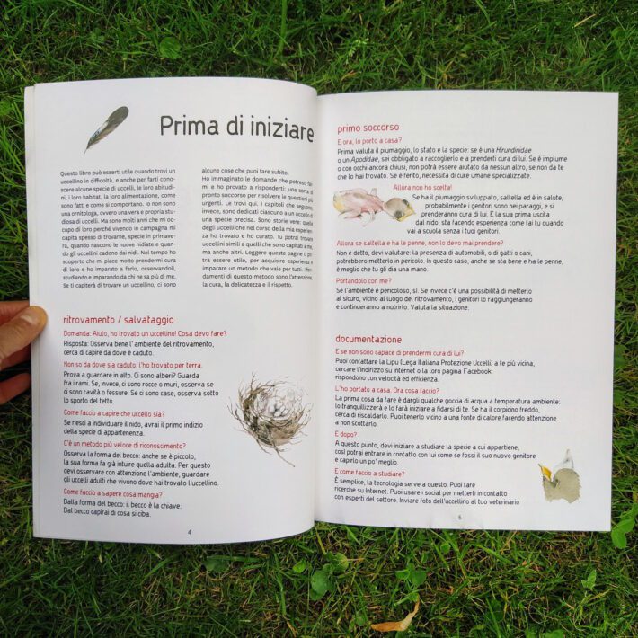 Prendere il volo_2