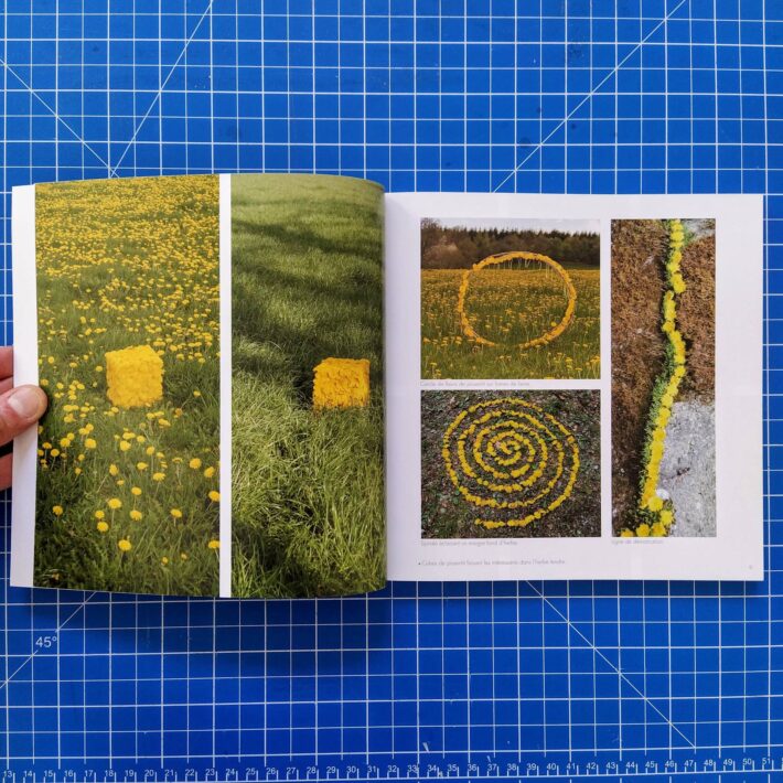Marc Pouyet_Land art de printemps_2