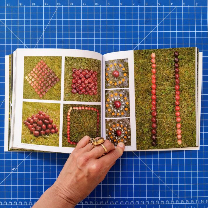 Marc Pouyet_Land art de printemps_4