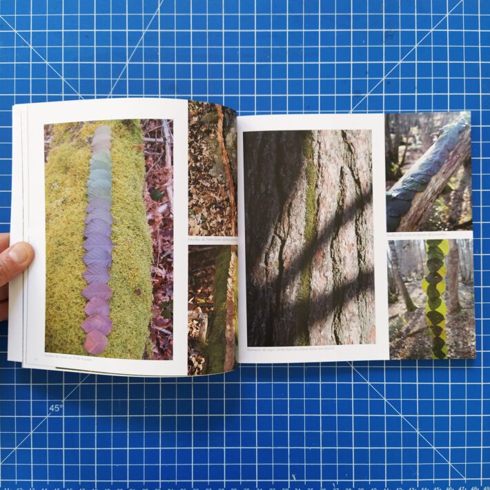 Marc Pouyet_Land art d’automne _2
