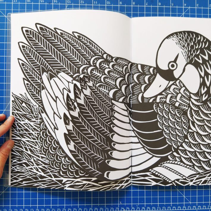 Joëlle Jolivet_Coloriages_1