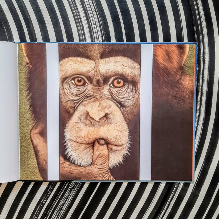 Anthony Browne_Gorilla_2