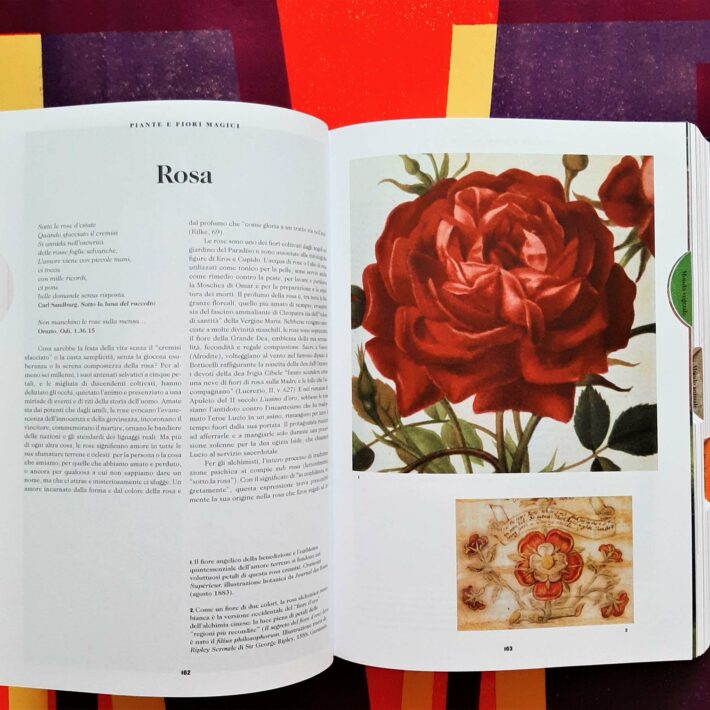 Il libro dei simboli_3