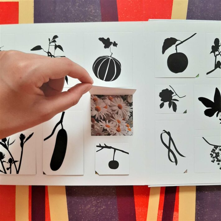 François Delebecque_Fruits, fleurs, légumes et petites bêtes_3