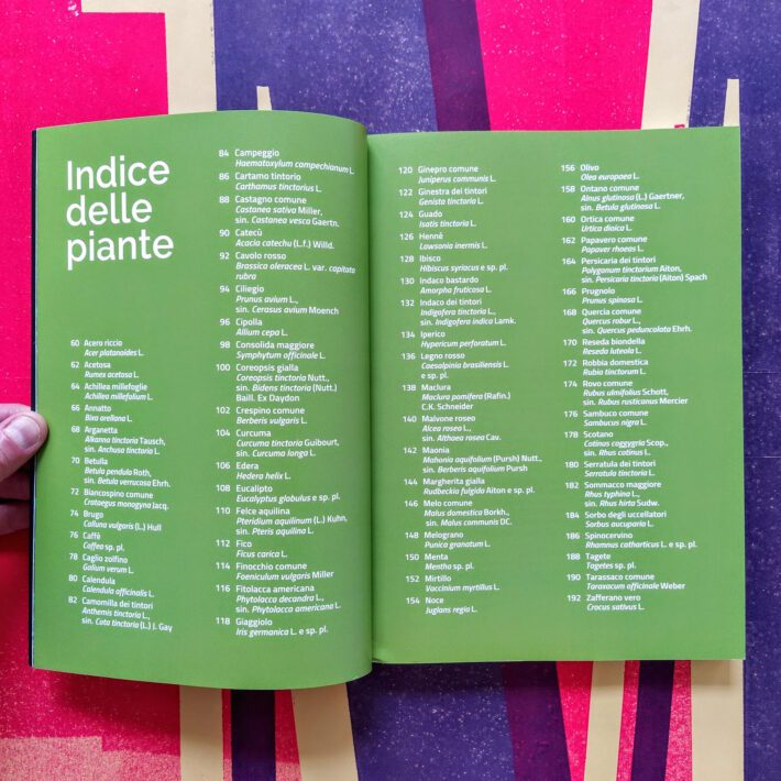 Piante_tintorie2