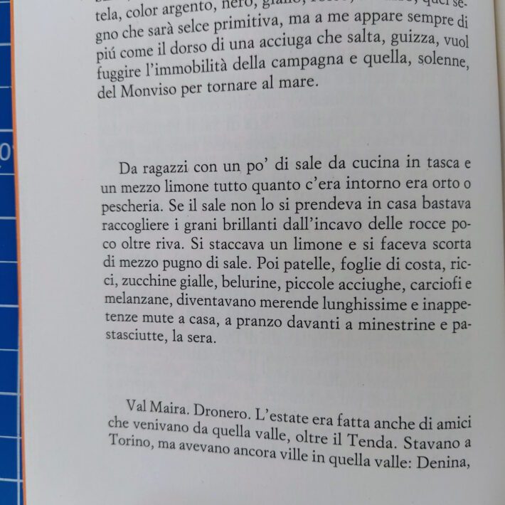 Il_salto_dell’acciuga2