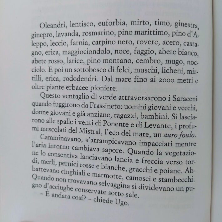 Il_salto_dell’acciuga3