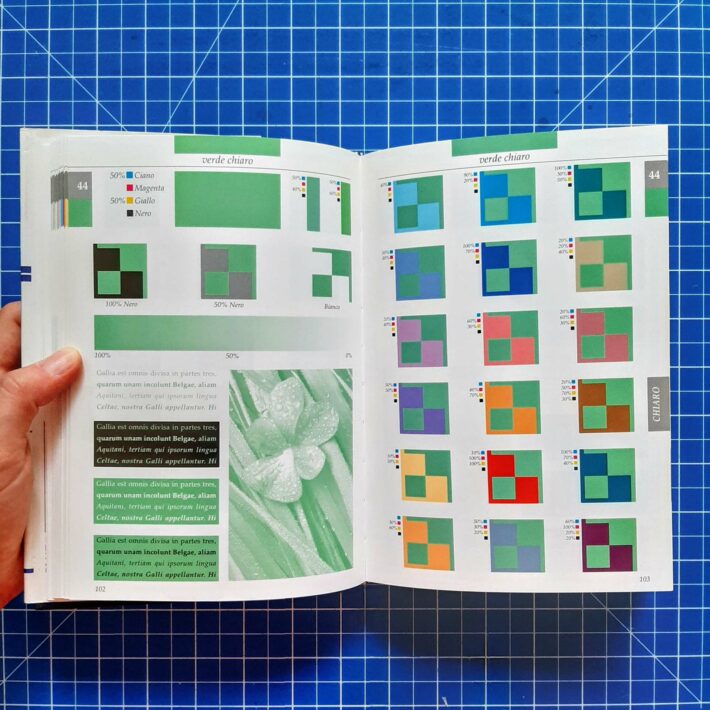 Simona Fantetti, Claudia Petracchi_Il dizionario dei colori_1