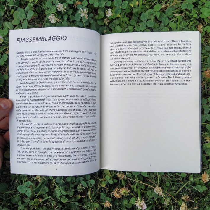 Forest_law3
