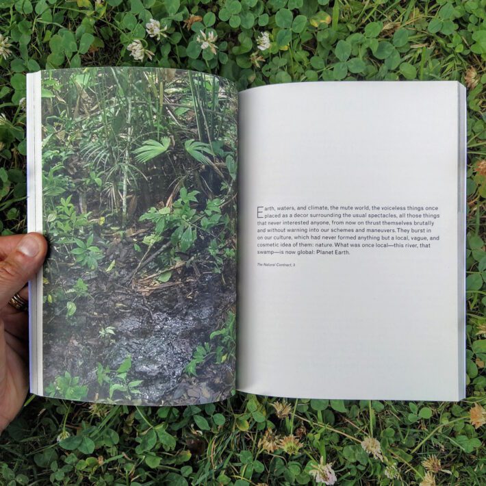 Forest_law5