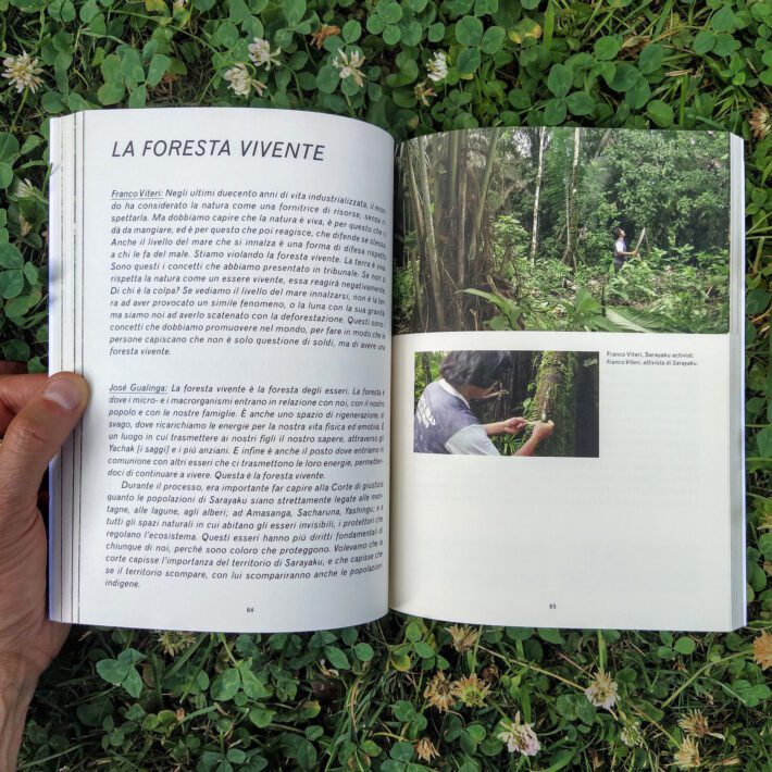 Forest_law6