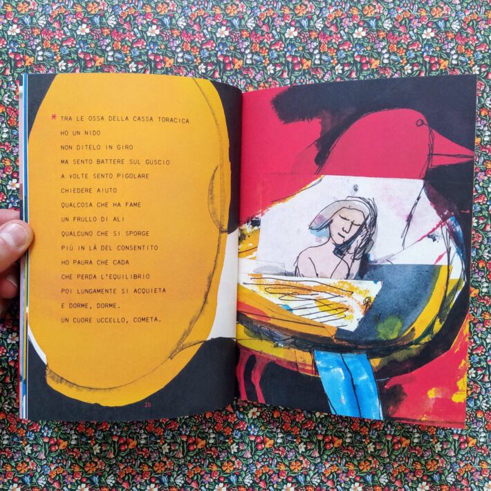Acerbo_sari_tu2