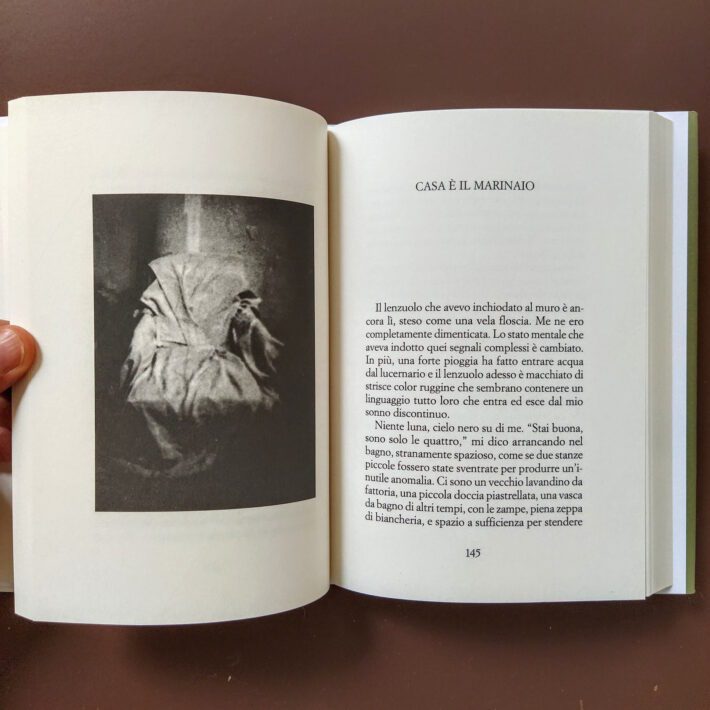 L’anno_della_scimmia3