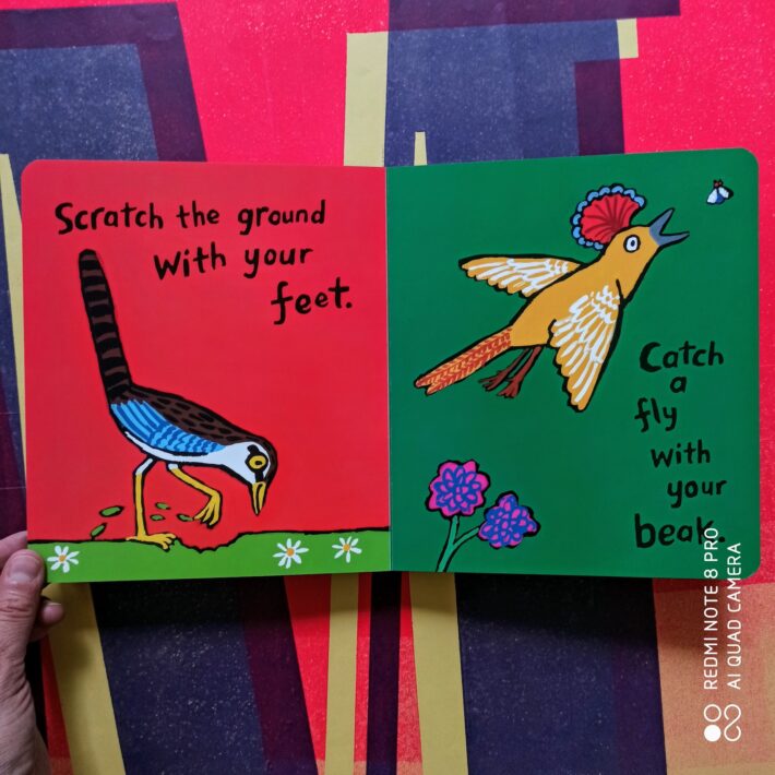 A_busy_days_for_birds3