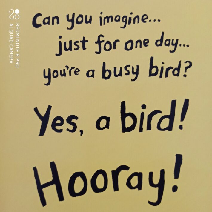 A_busy_days_for_birds4