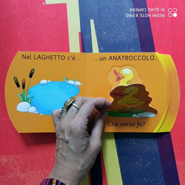 Che_verso_fa.3
