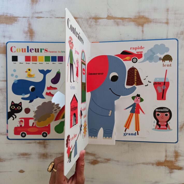 Compter_couleurs_contraires_formes_et_moi!4