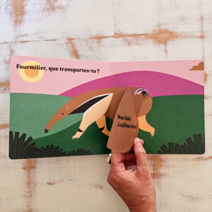 Ouistiti_que_portes_tu?3