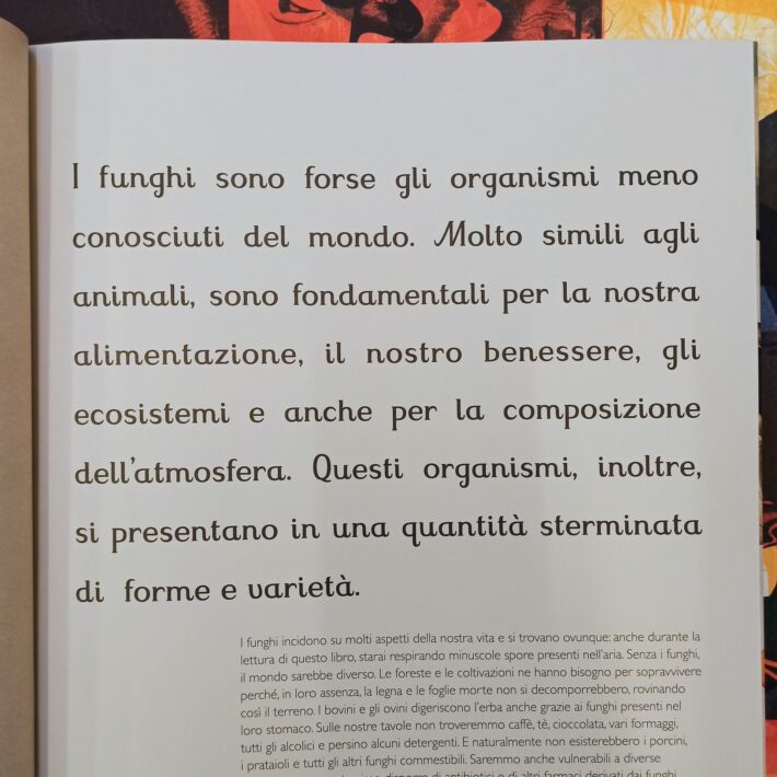 Fungarium2