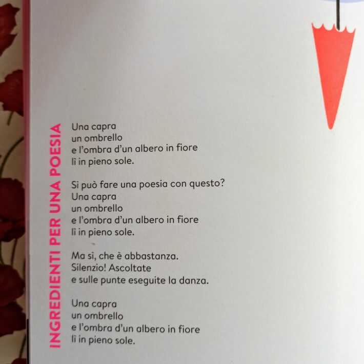 Buchi nel vento di Bernard Friot - Teste fiorite - libro per bambini