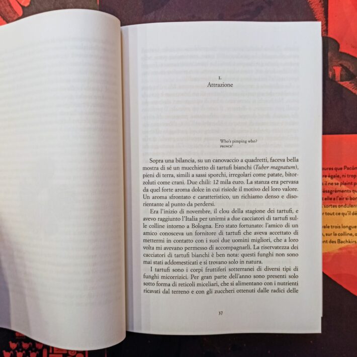 L’ordine_nascosto4