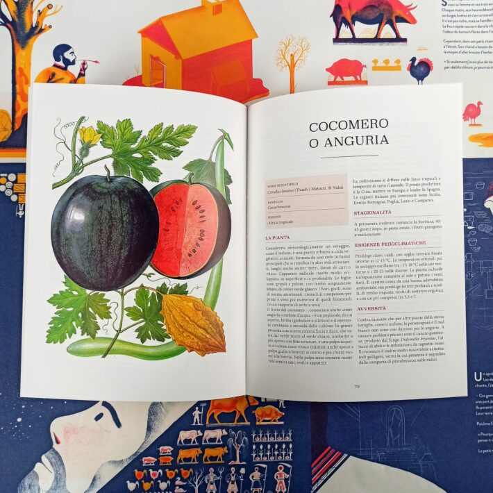 Atlante_gastronomico_della_frutta3