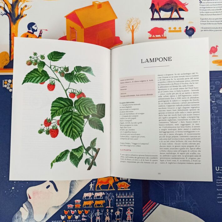 Atlante_gastronomico_della_frutta4