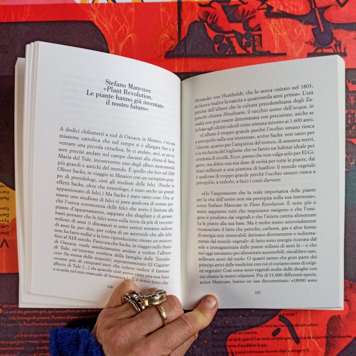Leggere_la_terra_e_il_cielo8