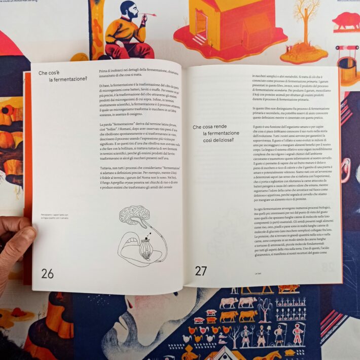 洋書 Noma La guida alla fermentazione The Noma Guide to Fermentation: Including koji, kombuchas