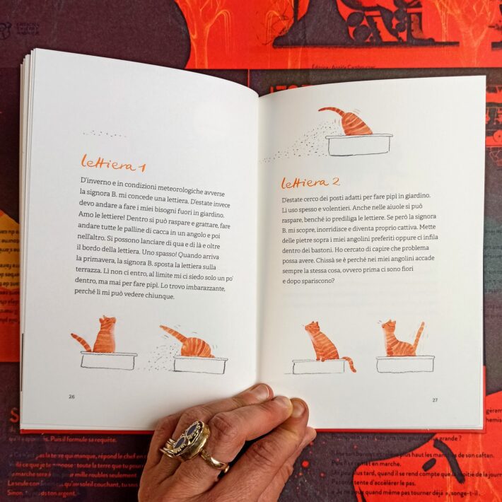 Opinioni_di_un_gatto4