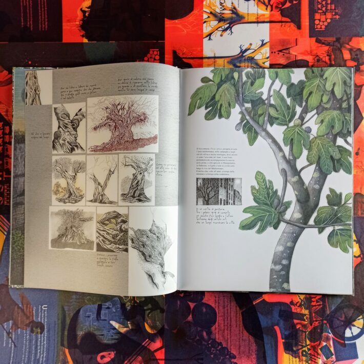 Raccontare_gli_alberi2