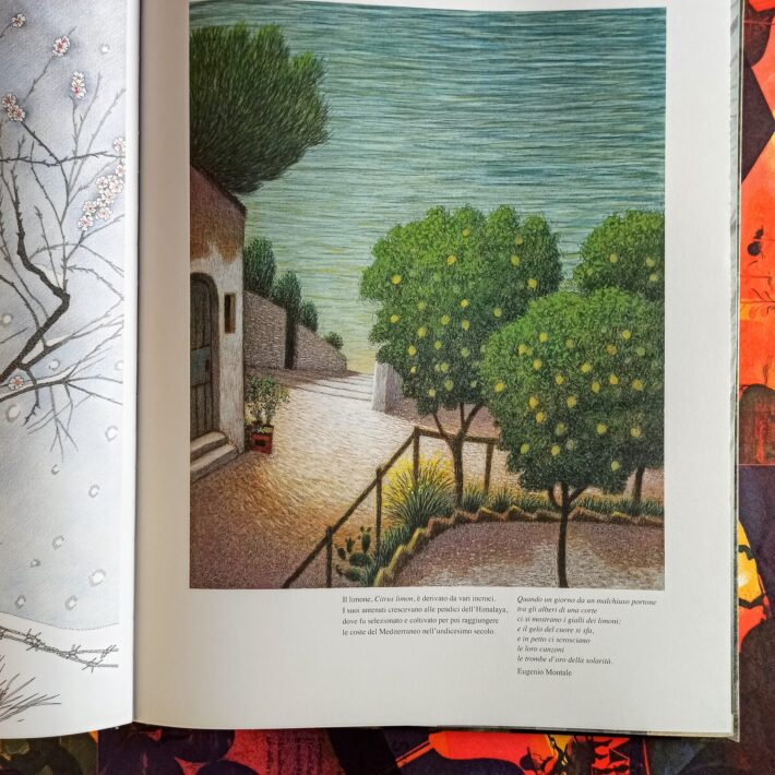 Raccontare_gli_alberi3