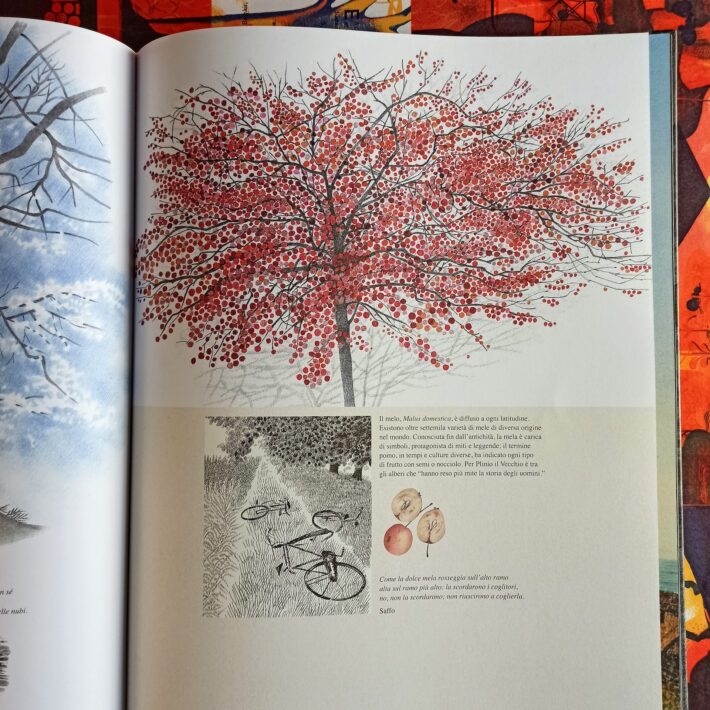 Raccontare_gli_alberi4