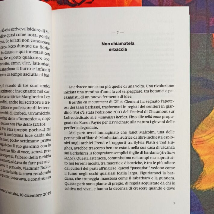 Verdeggiando6