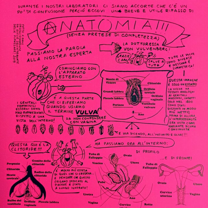 Anatomia2