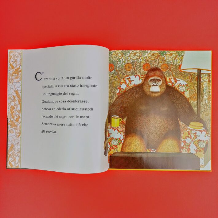 Bella_e_il_gorilla2