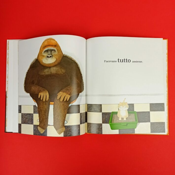 Bella_e_il_gorilla4