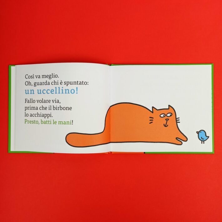 Il_libro_gatto3