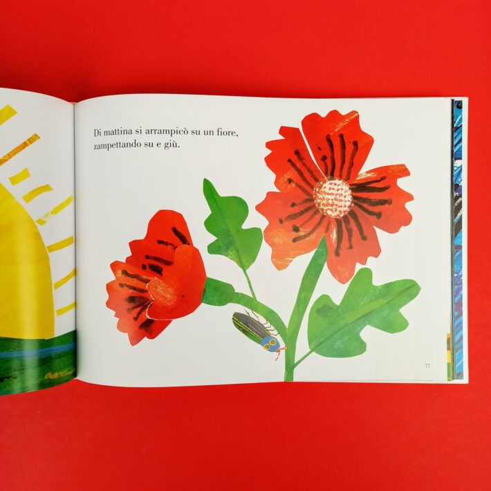 Le_storie_di_Eric_Carle6
