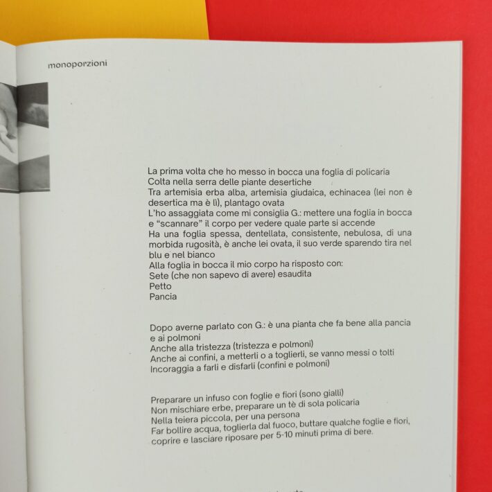 Monoporzioni12