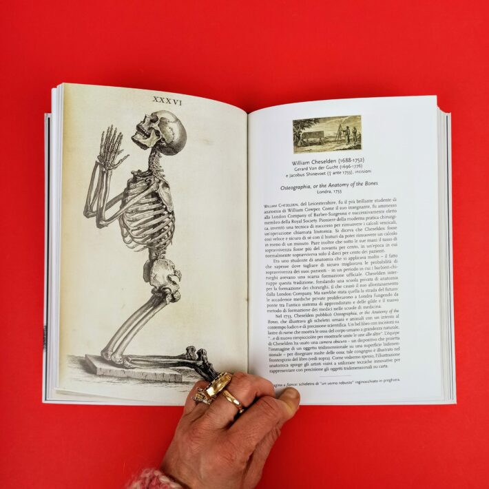Piccolo_atlante_di_anatomia5