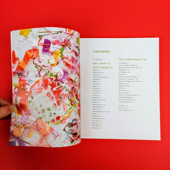 The_exquisite_book_of_paper_flowers3