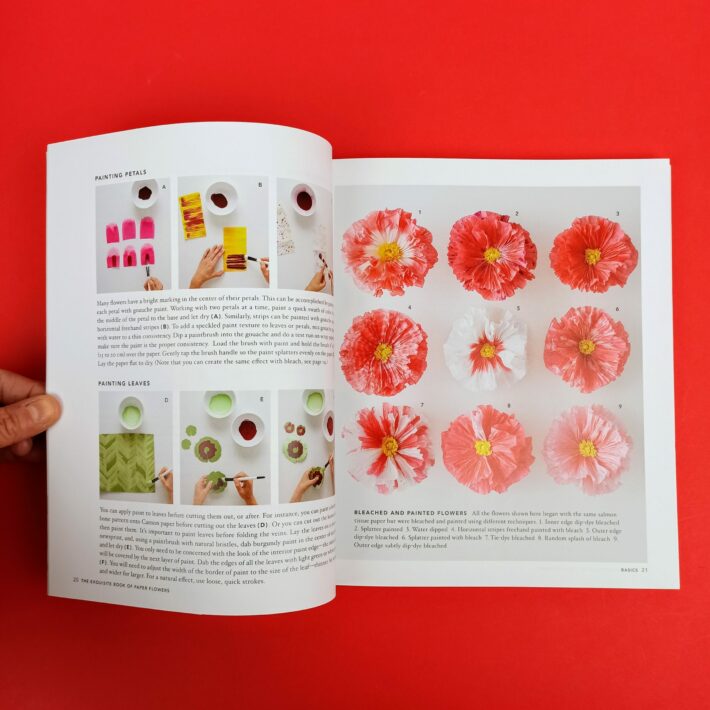 The_exquisite_book_of_paper_flowers4