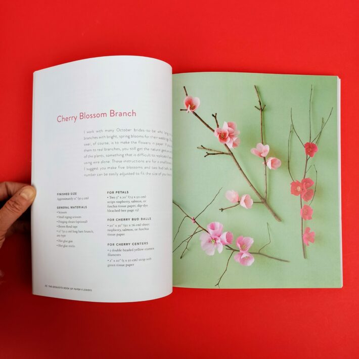The_exquisite_book_of_paper_flowers5
