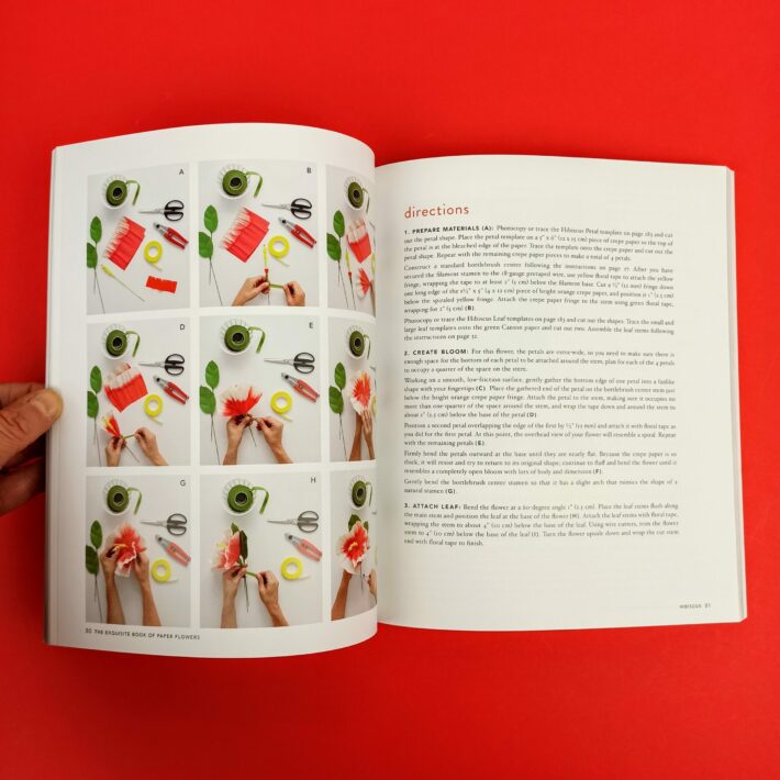 The_exquisite_book_of_paper_flowers6