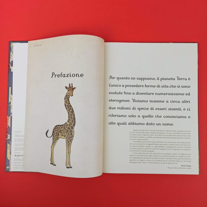 Animalium2