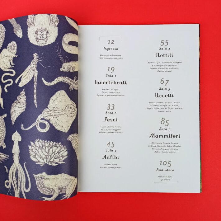 Animalium3