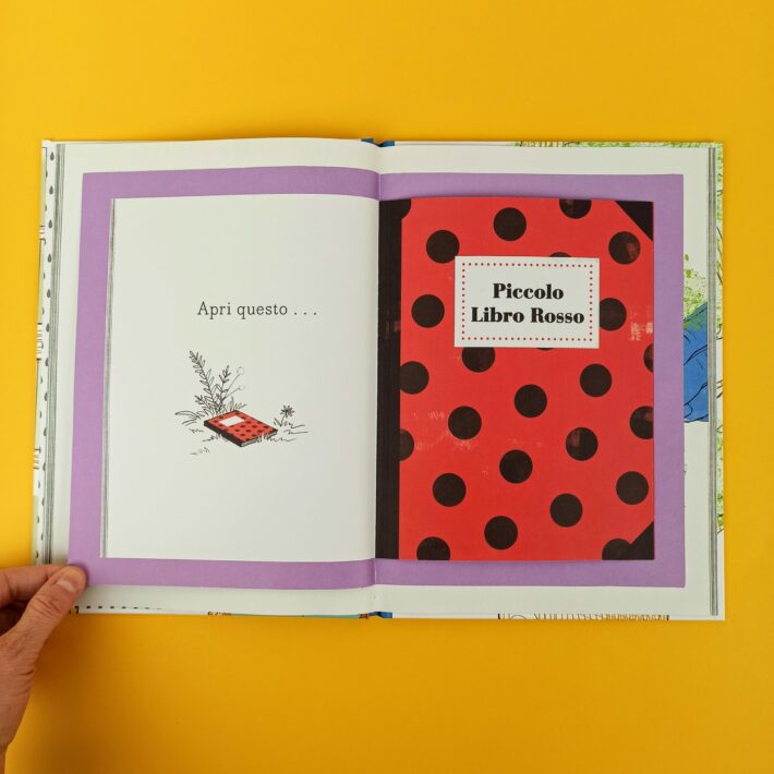 Apri_questo_piccolo_libro2