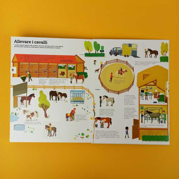 Il_grande_libro_dei_cavalli_animato4