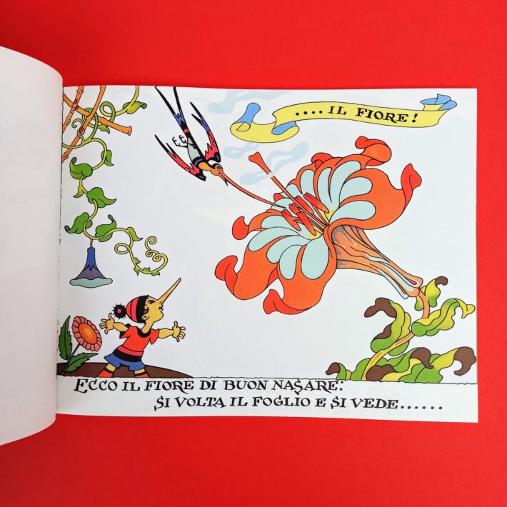 Il_libro_di_belvedere3